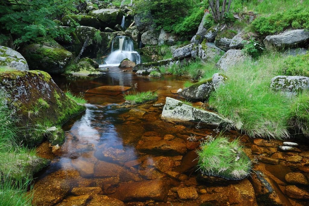Penzion Zrzka Korenov Bagian luar foto