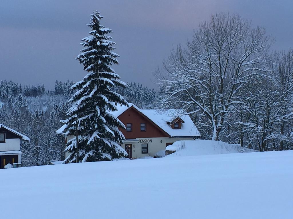 Penzion Zrzka Korenov Bagian luar foto