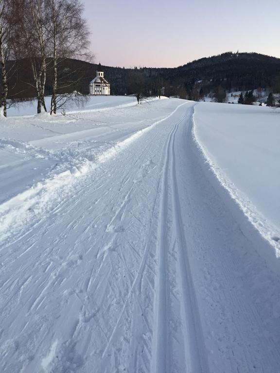 Penzion Zrzka Korenov Bagian luar foto