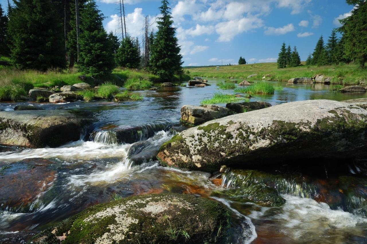Penzion Zrzka Korenov Bagian luar foto