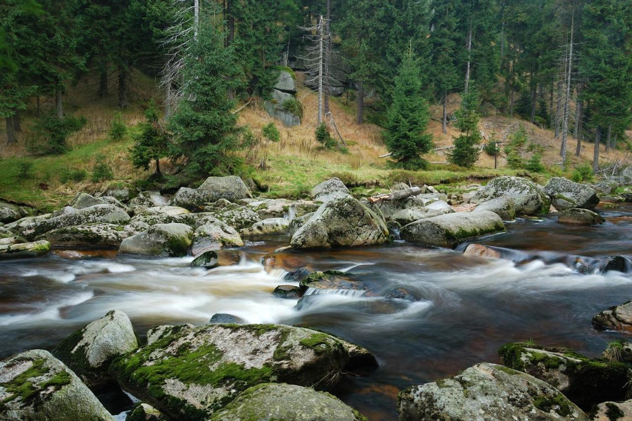 Penzion Zrzka Korenov Bagian luar foto