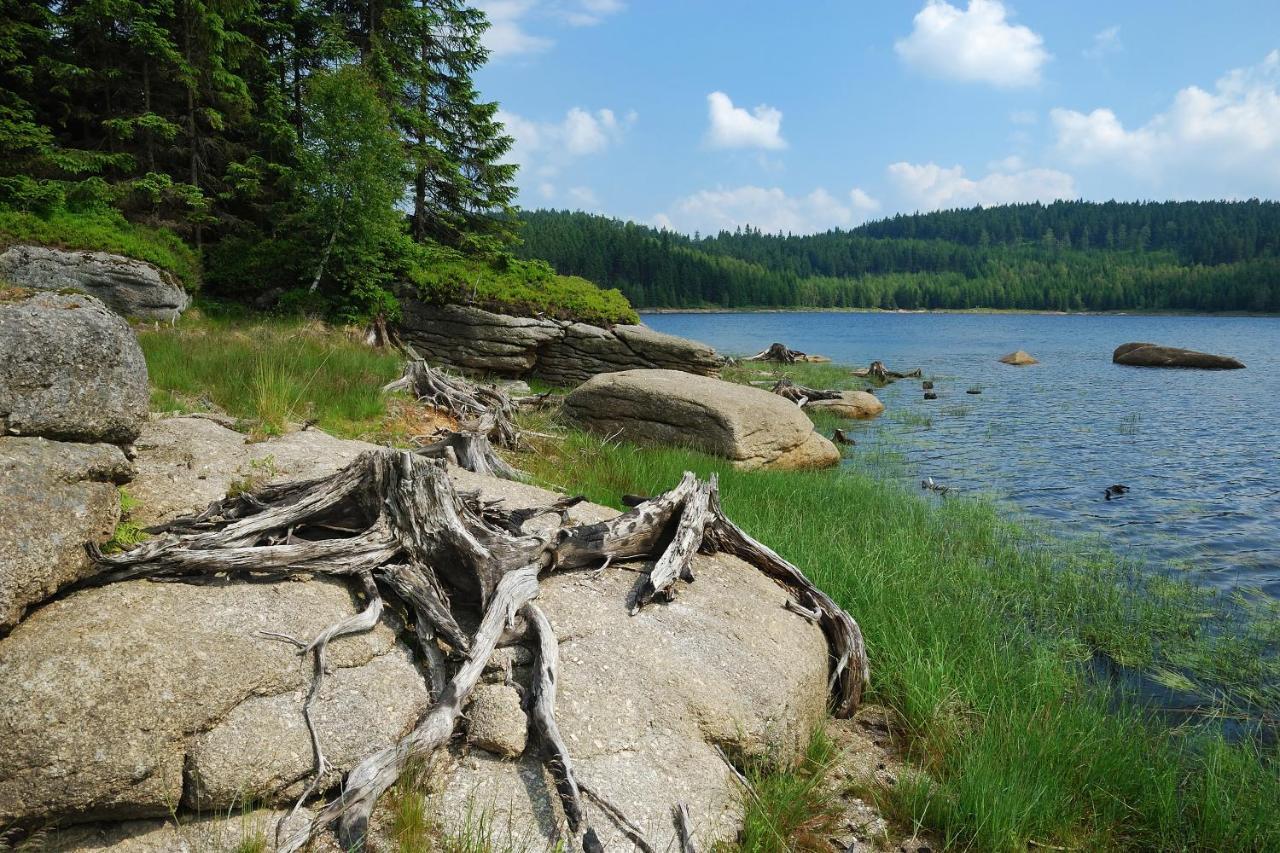 Penzion Zrzka Korenov Bagian luar foto